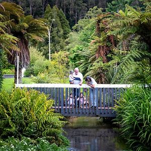 Ripple Rotorua